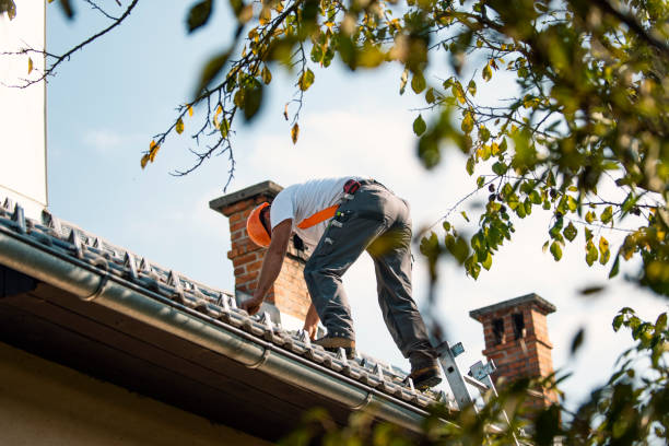 Best Roof Gutter Cleaning  in Arnold, PA